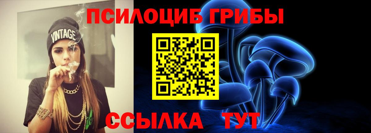 Псилоцибиновые грибы Cubensis  Вход с VPN  Псилоцибиновые грибы Psilocybe  Калининград 